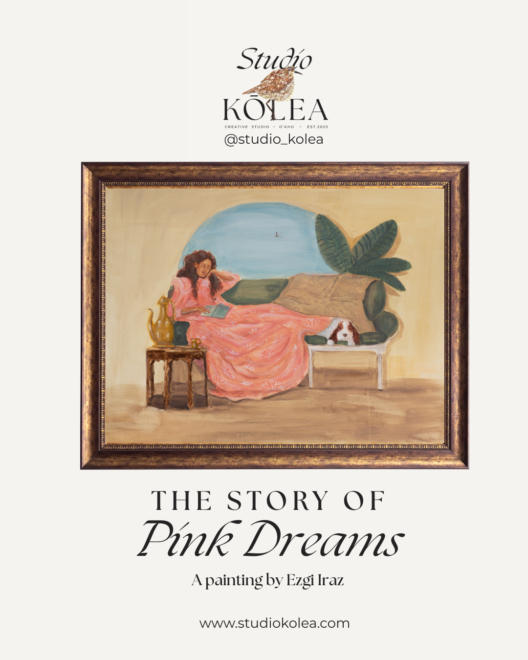 The Story of Pink Dreams